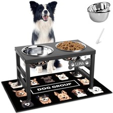 Elevated Dog Bowl Stand With Mat 58oz Stainless Steel Bowls 10 Inch Set