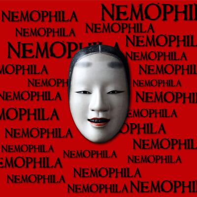 NEMOPHILA-NAZARE First Limited Edition NZR-10 Japanese Heavy Metal Band NEW