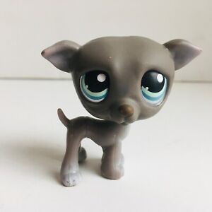 Littlest Pet Shop LPS Grey, Gray Whippet Greyhound 319 | eBay