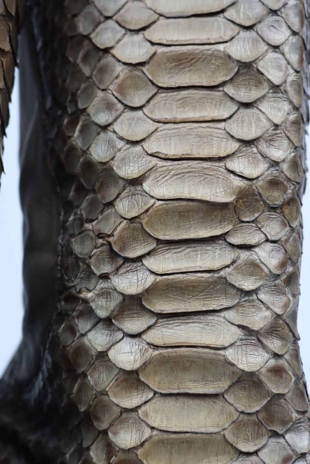 Alexander McQueen Python knee boots - image 4