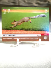 Rally Squirrel Mania Brings Big Bucks 21