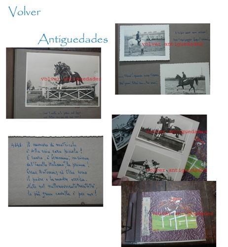 Very interesting and old 2 italian photos albums horse jumps photo horses Italy