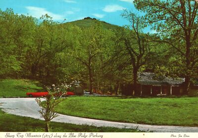Sharp Top Mountain Along The Blue Ridge Parkway Hiking Trail Postcardd