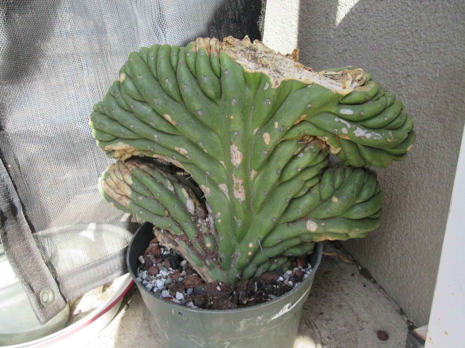 Picture 3 of 5