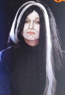 Boo Tique 18 Long Hair Black With White Streaks Halloween Wig Ebay