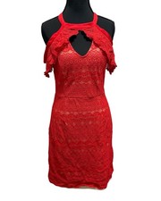 Francesca’s Collection Red Lace Mini Dress