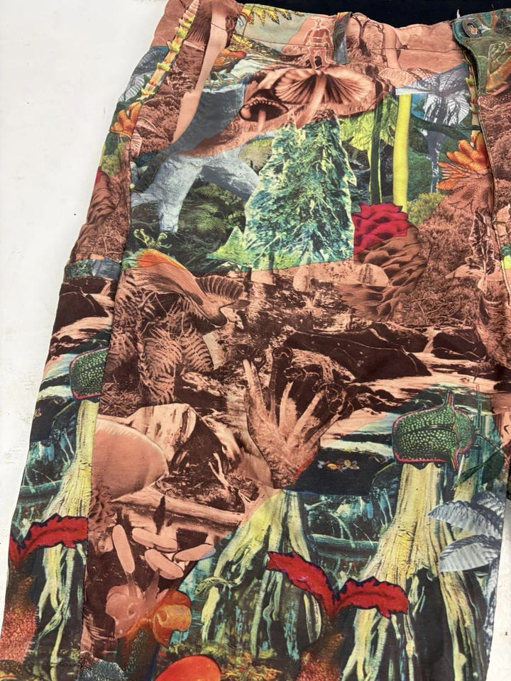 Volcom Surf & Turf Hybrid Shorts Mens 30 Stretch Boardwalk Dinosaurs Swim Board - Image 2 of 4