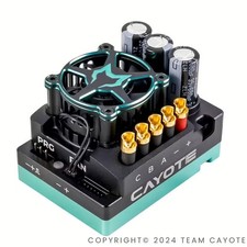 CAA10801 Cayote Regolatore Crest 8 Brushless ESC 200A 2-4s 1:8 Buggy