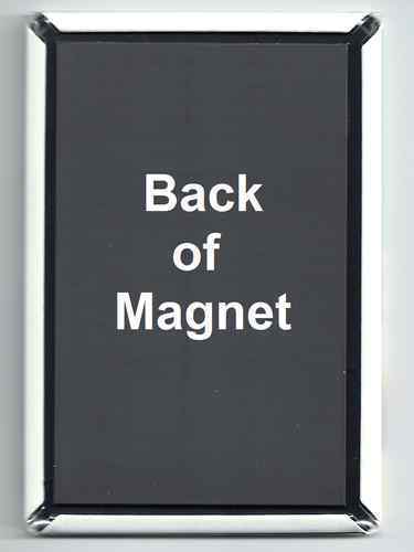 BEYOND THE WALL OF SLEEP BOOK COVER *2X3 FRIDGE MAGNET* NOVEL HP LOVECRAFT SCIFI