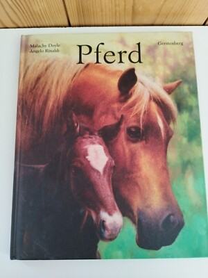 ''Pferd'' von Malachy Doyle und Angelo Rinaldi: stimmungsvolles Bilderbuch (2008)