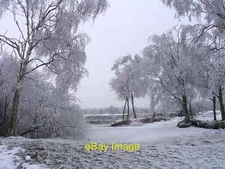 Photo 6x4 Hoar frost at The Pond Caterham At over 750 ft above sea level, c2010