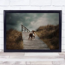 Sea Frank Sinatra Dogs Animals Dunes Dog Boardwalk Grass Animal Pet Art Print