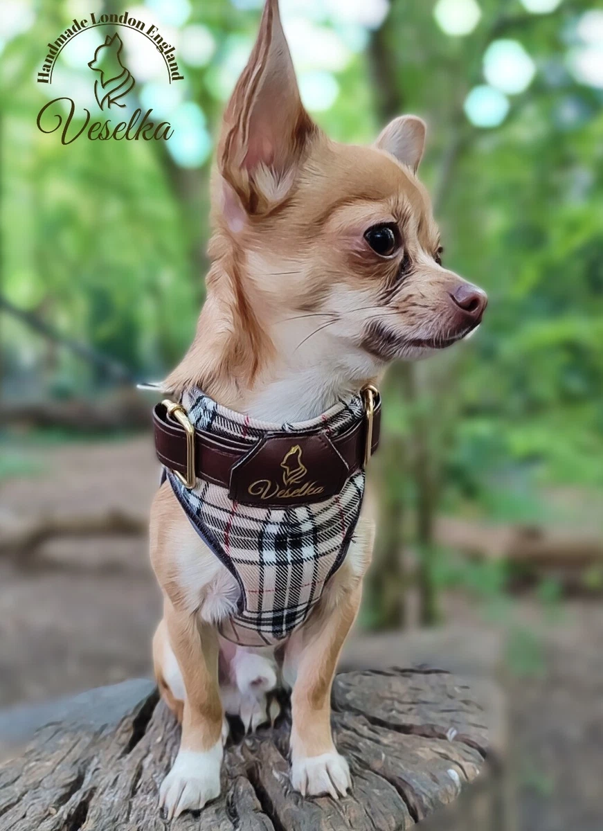 Burberry harness for dogs sales