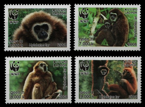 Laos 2008 - Mi-Nr. 2062-2065 A ** - MNH - Affen / Monkeys - 第 1/1 張圖片