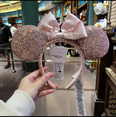 Disney-Park display picture 3