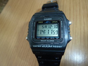 casio dw 200