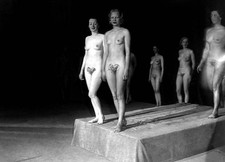 Candidates Miss Venus de France  beauty conte...