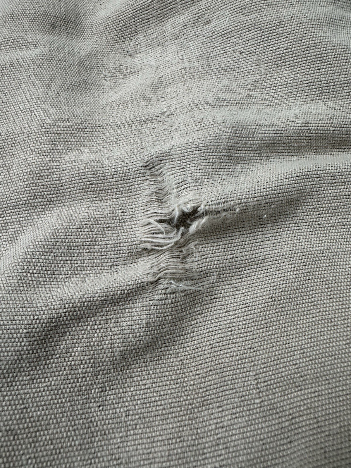 Picture 6 of 14