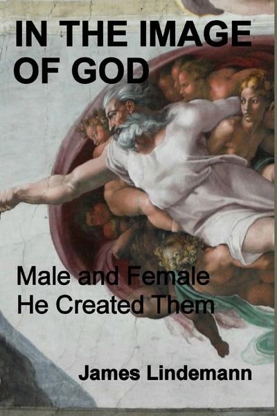 In The Image Of God Male And Female He Created Them James Lindemann Taschenbuch-image