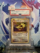 Pocket Scout - Pokemon Card PSA8 Pidgeot Old Back Jungle 18 1997
