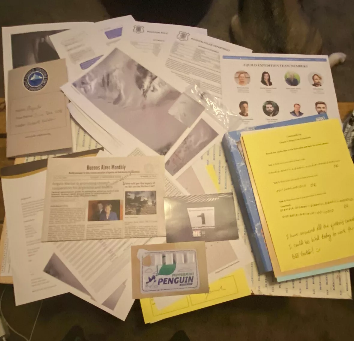 Murder Mystery Case Files Death in Antarctica Game