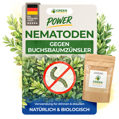 Nematoden gegen Buchsbaumzünsler   5 bis 250 Mio. - Buchsbaumzünsler bekämpfen