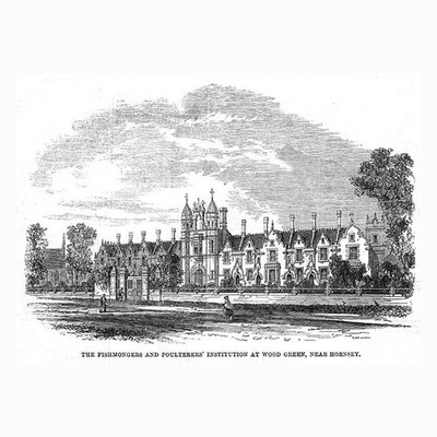LONDON Fischhändler & Poulterers Institution in Wood Green - antiker Druck 1862