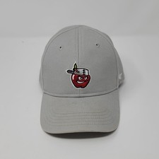 Infant '47 Brand Fort Wayne TinCaps Minor League Baseball Gray Fitted Hat Cap