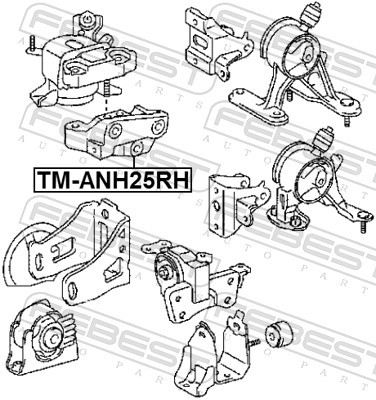 ENGINE MOUNTING TM-ANH25RH FOR TOYOTA PREVIA/III RAV/4 2AZ-FE 2.4L 4cyl - Picture 3 of 7