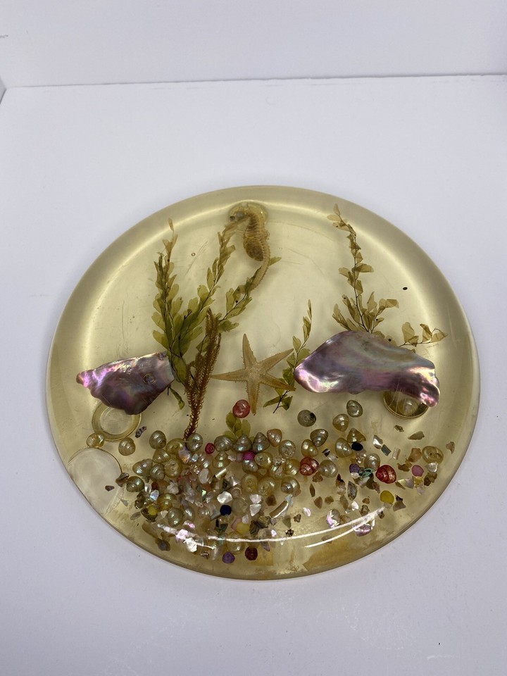 Vintage Lucite Resin Trivet Hot Plate Acrylic Beach Sea Shells Sea
