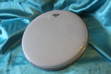 Remo 10-3/4" Banjo Head, High Collar, Coated Bottom, BJ-1012-H2, Special Edition