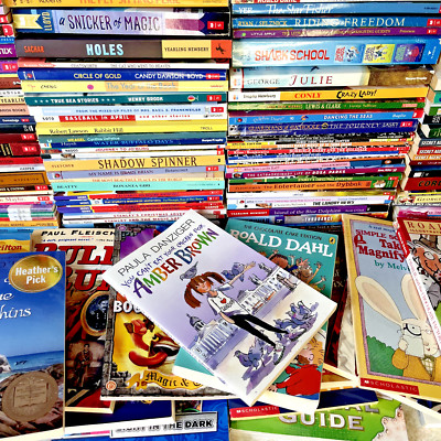 Lot of 25 Kids Chapter Books   Children s Random Bundle   Various Authors