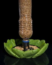 Bird Feeder