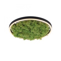 Led Deckenlampe Rund D: 39,3 Cm Echtes Moos 3000 K 2650 Lm Dimmbar Deckenleuchte