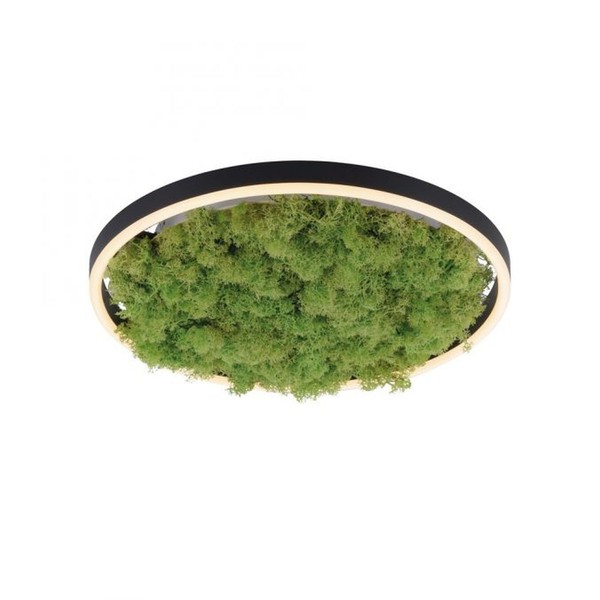 Led Deckenlampe Rund D: 39,3 Cm Echtes Moos 3000 K 2650 Lm Dimmbar Deckenleuchte-image