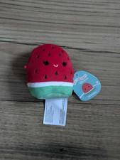 Squishmallow Micromallow Winsey Watermelon 2.5" Plush series 2 - New
