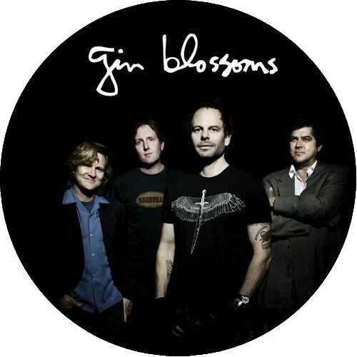 Discos de vinilo Gin Blossoms