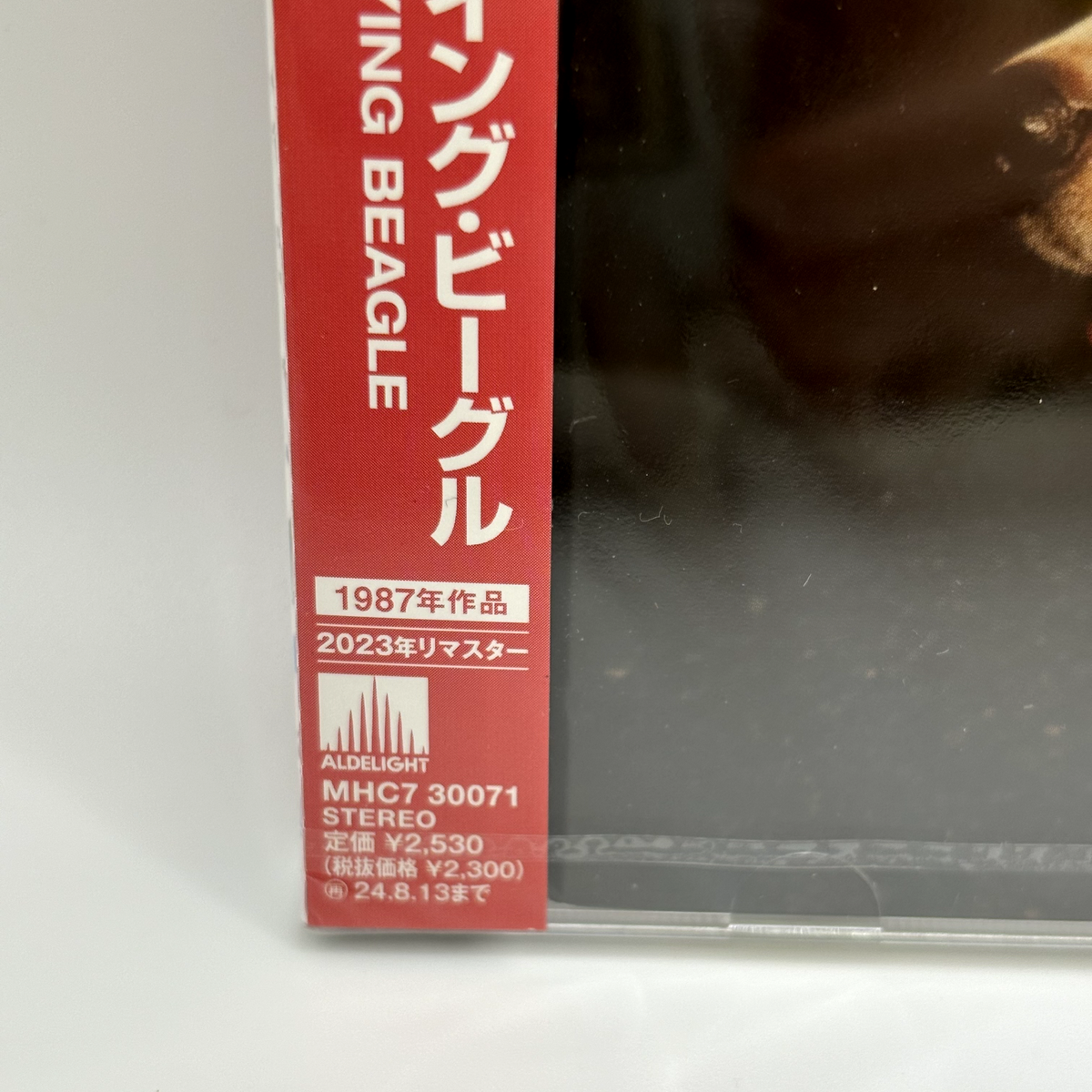 Himiko Kikuchi FLYING BEAGLE Tower Records Limited Blu-spec CD2