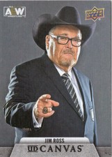 2021 Upper Deck AEW Canvas #C-24 Jim Ross 