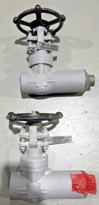 Ilshin 1'' Class 800 Socket Weld Forged Steel Gate Valve API 602 A105N NEW