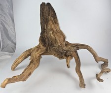 Large 18x12" Manzanita Spider Tree Root Trunk Driftwood Aquarium Terrarium Perch