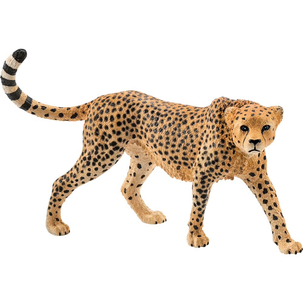 Schleich Wild Life Cheetah Female Animal Figure Toy 14746 Collectable Model