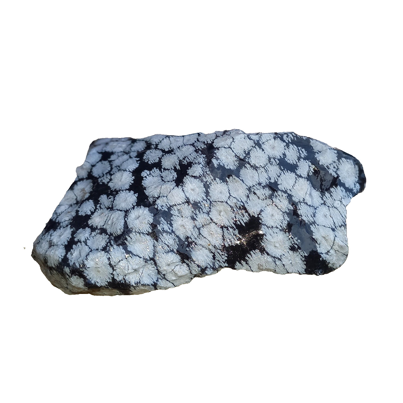 Rohstein Schneeflockenobsidian Obsidian Anti Stress Stein Lebensfreude Nr.H Zen