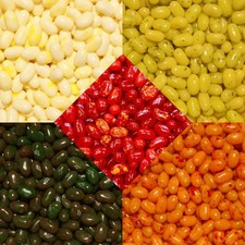 Jelly Belly Jellybean Mix 2.5LB Assorted Flavor Blast Mix - Free Shipping