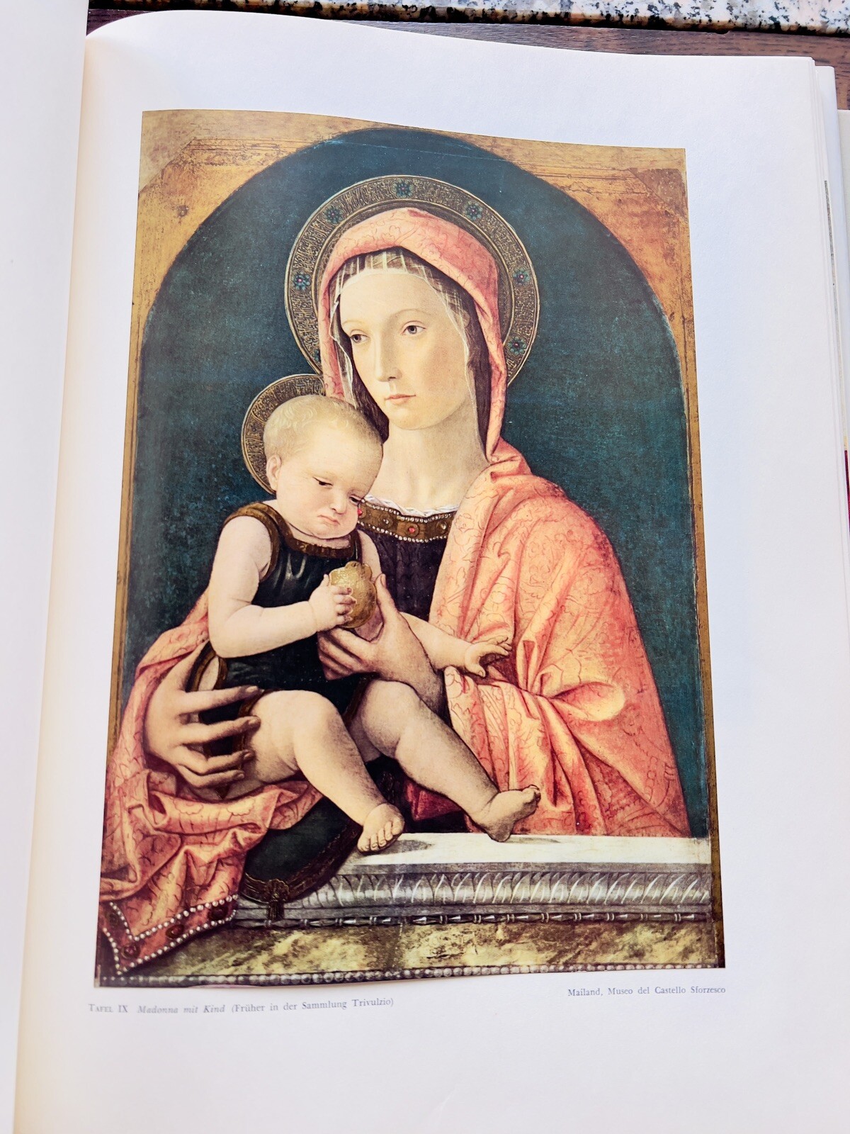 Vintage Book Giovanni Bellini Pictures Colour Plates Art Folio Illustration C...