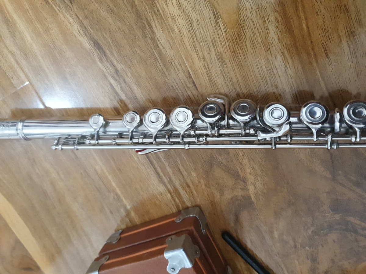 LARK FLUTE M4006 SILVER TONE MUSICAL INSTRUMENT IN HARD CASE | eBay UK