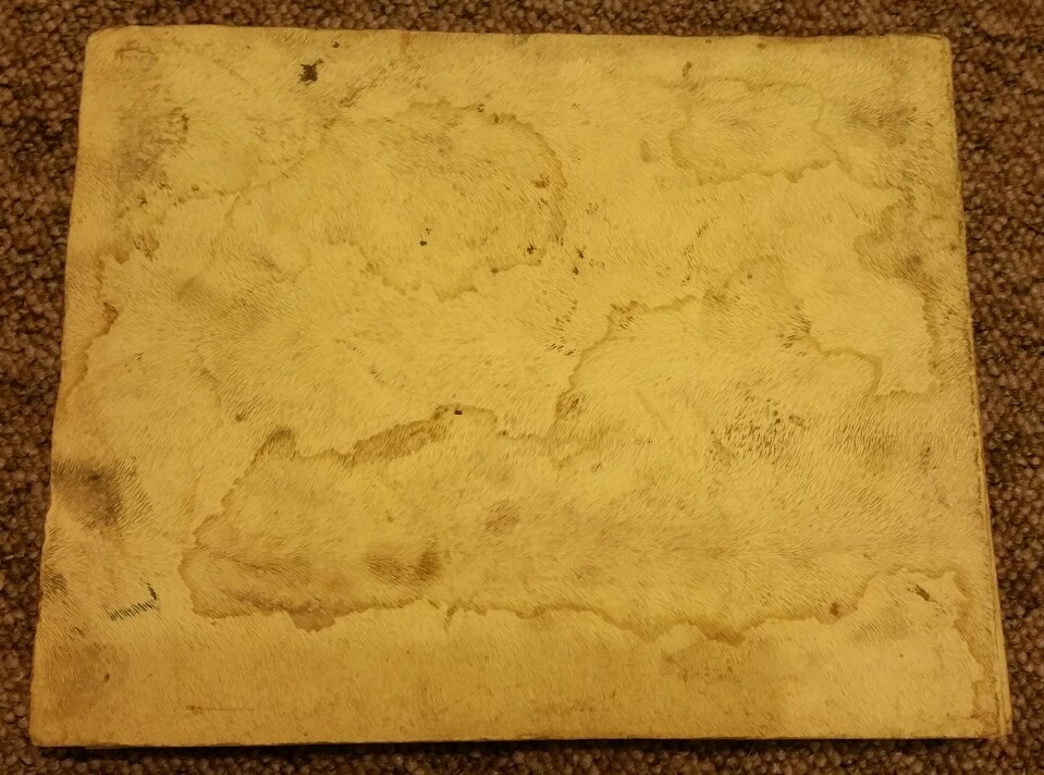 Picture 6 of 6