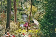 Photo 6x4 The Dell Bodnant Garden North Wales Tal-y-cafn Spring in Bodn c1990