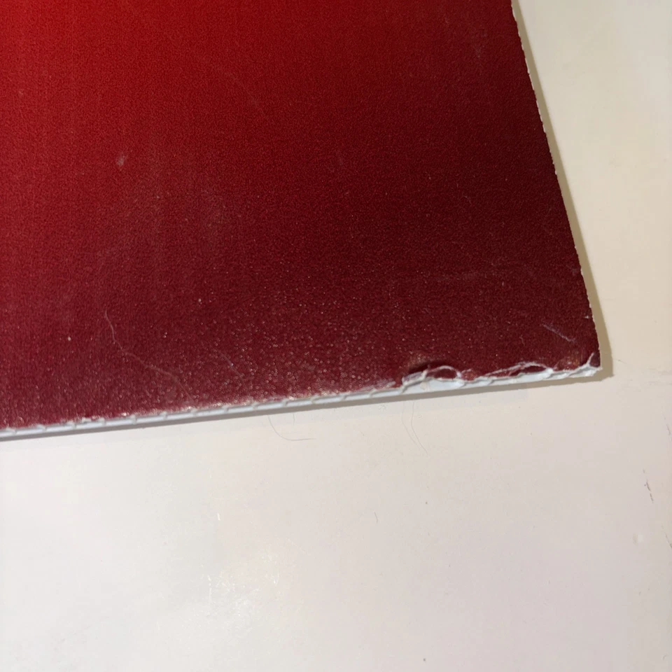 超级碗 LV Raymond James 体育场 无 REENTRY CODE CONDUCT 官方标志 28x22 — 第 4/4 张图片