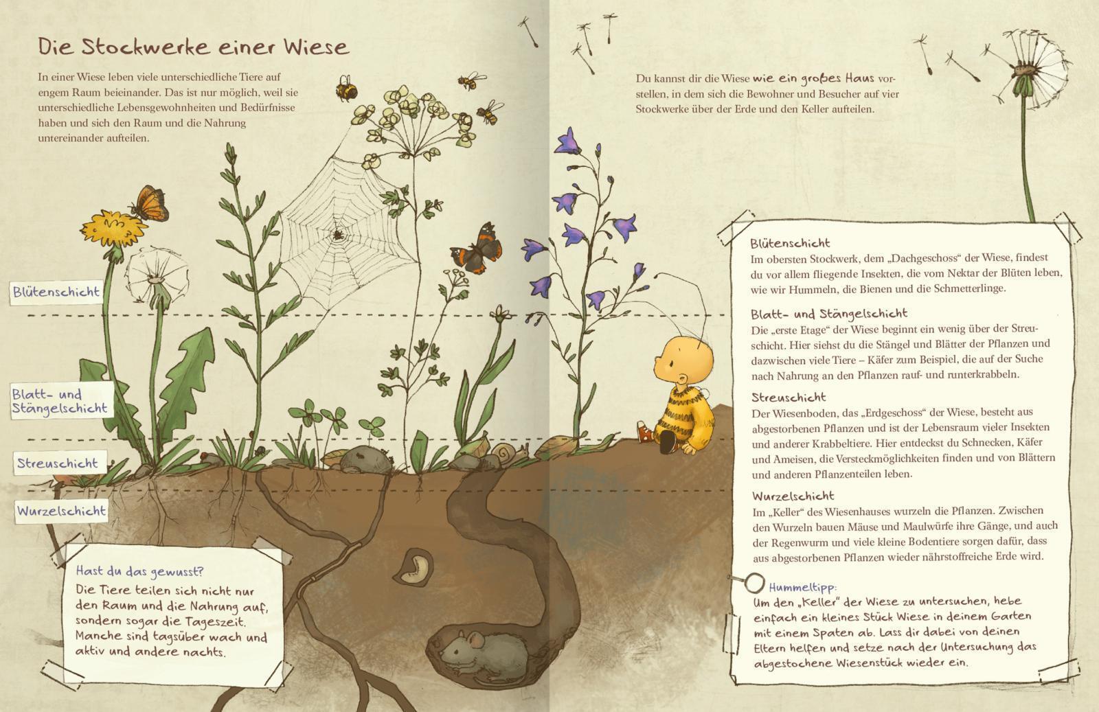 Thumbnail - Britta Sabbag Die Kleine Hummel Bommel Entdeckt Die Wiese